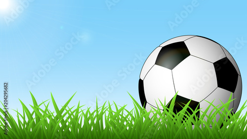 Soccer ball on the green grass against the blue sky and the sun © Aleksei Solovev