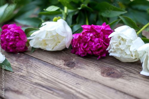 Peonies lie on a wooden surface
