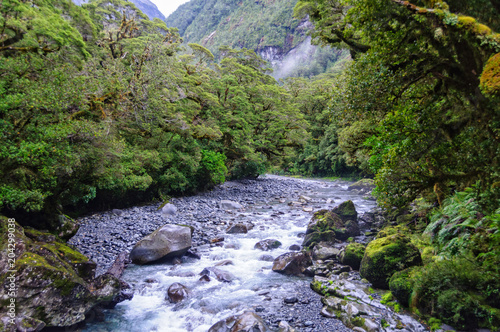 Cleddau River  along the Chasm Walk, halfway between Milford Sound and the Homer Tunnel - Fiordland National Park, South Island, New Zealand photo