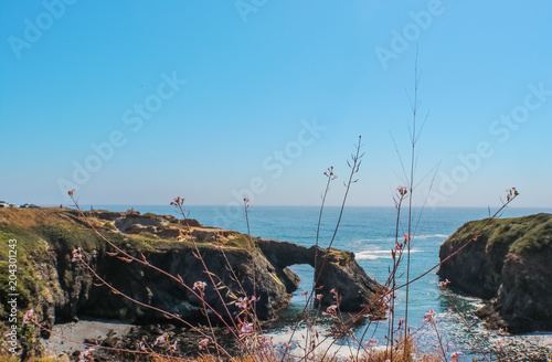 Mendicino California Headlands View to beach from rock arch seen through purple flowers photo