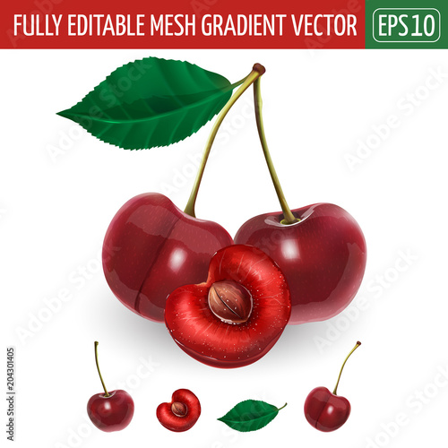 Cherry on white background. Vector illustration
