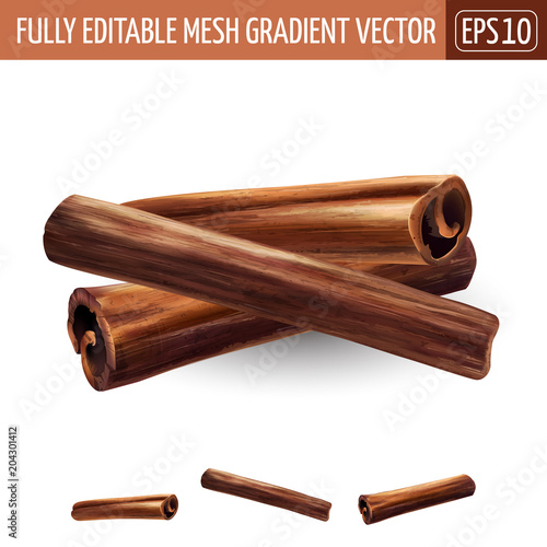 Cinnamon on white background. Vector illustration