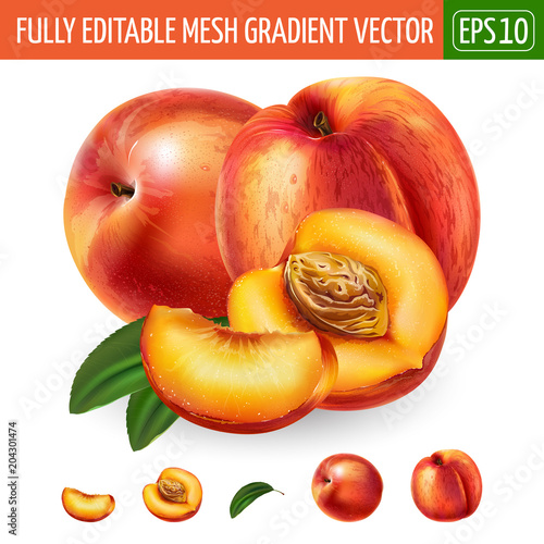 Peach on white background. Vector illustration