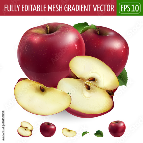Red apple on white background. Vector illustration