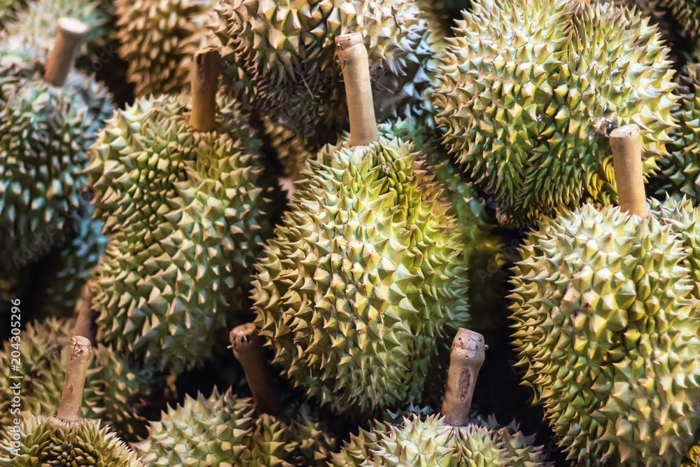 Durian in the shop is a famous fruit of Thailand. Durian in the shop is a famous fruit of Thailand.
