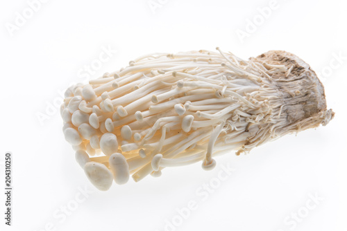Golden needle mushroom on white background