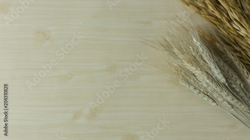 The  Wheat oats on wood  image background.