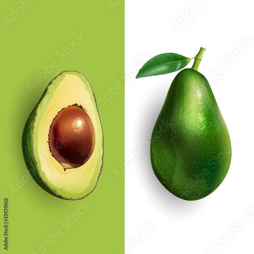 Avocado. Vector illustration