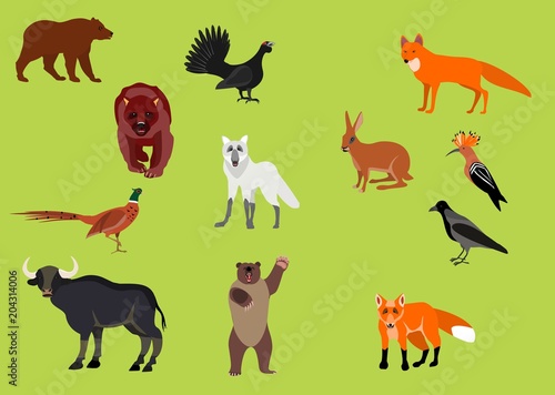 Fototapeta Naklejka Na Ścianę i Meble -  Forest animals vector set, animals icons, bear, wolf, fox, birds, buffalo.