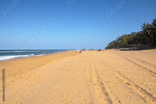 Beach and Vehicle Tire Tracks coastal African Landscape