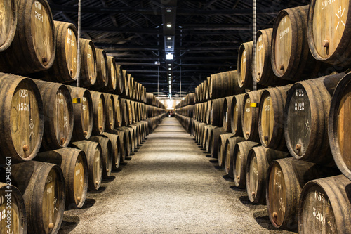 Row of wooden porto wine barrels in wine cellar Porto, Portugal.