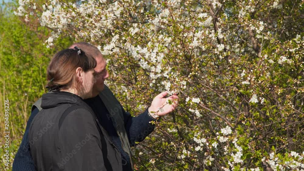 Young woman and man near a flowering tree. Young woman and man near a flowering tree.