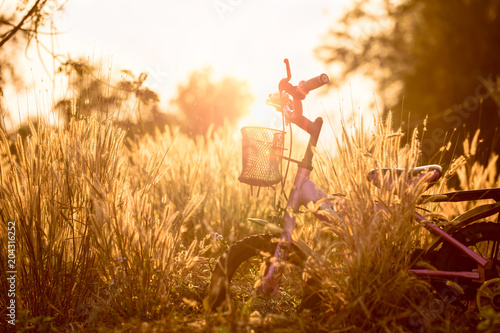 Little bike with sunlight photo