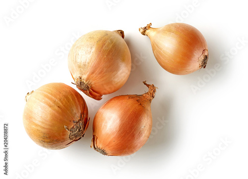 Wallpaper Mural fresh raw onions Torontodigital.ca