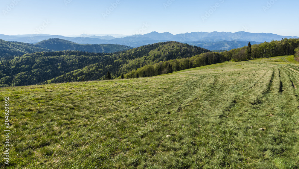 A spring view in the morning from a clearing in the Beskid Mountains.