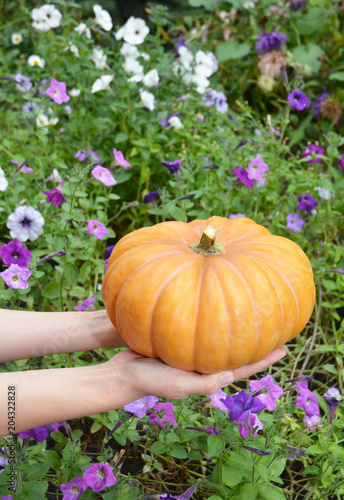 Young girl holding a pumpkin in her hands.