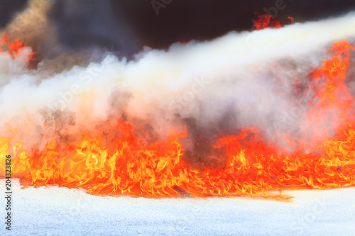 Wallpaper Mural fire fighter a learning training exercise select focus with shallow depth of field. Torontodigital.ca