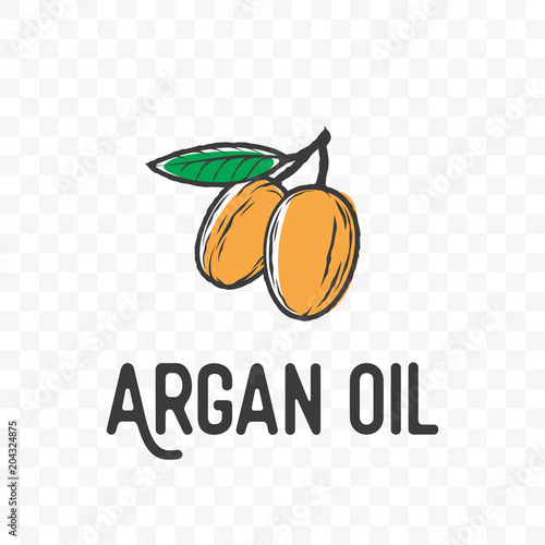Argan oil fruit and leaf vector sketch icon