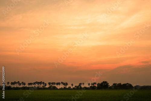 Sunset on a field in the countryside  Natural Sunset Sunrise Over Field Or Meadow.