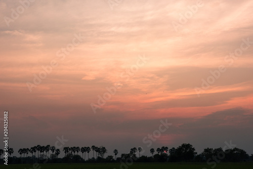 Sunset on a field in the countryside ,Natural Sunset Sunrise Over Field Or Meadow.
