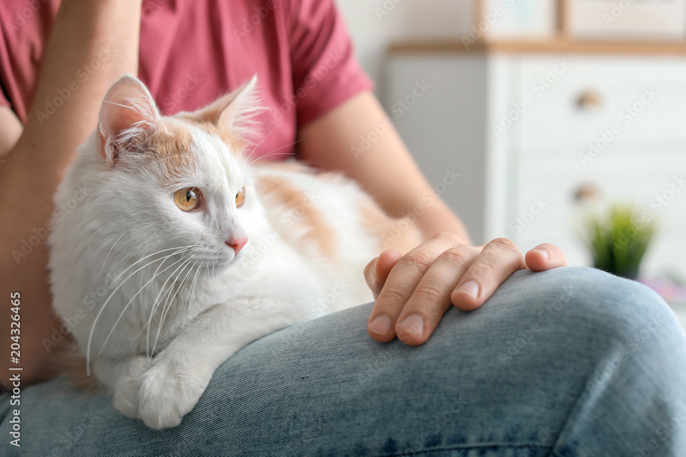Young man with cute cat at home Young man with cute cat at home