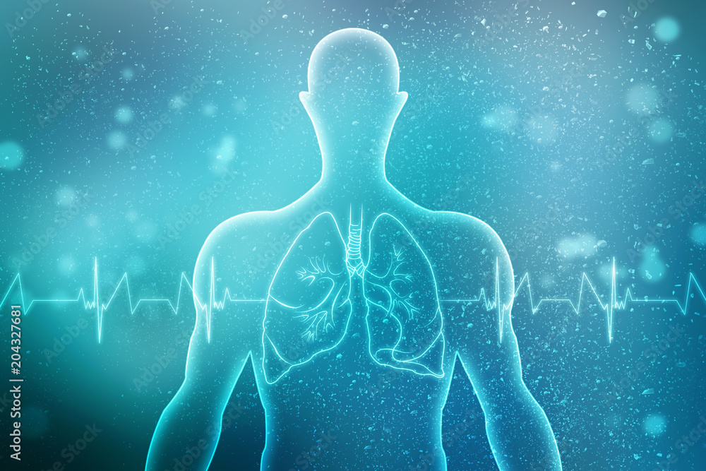 Healthy Human Lungs 2d illustration
Healthy Human Lungs 2d illustration