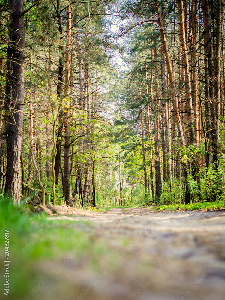 Naklejka premium OLYMPUS DIGITAL CAMERA