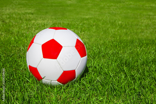 White and red soccer ball on fresh green meadow/ grass, copy space for text, concept football