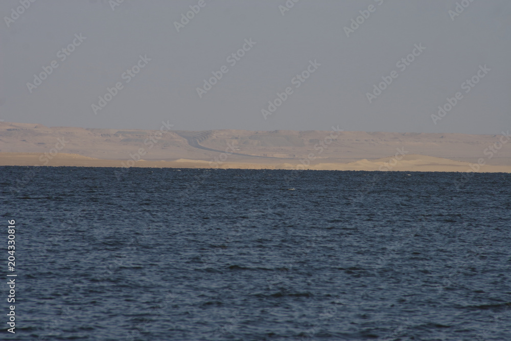 Surface of Qarun lake