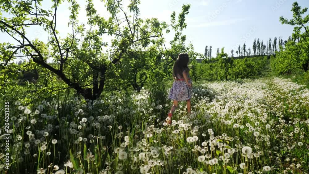 A girl runs through the garden with dandelions on a sunny day. Slow motion. A girl runs through the garden with dandelions on a sunny day. Slow motion.