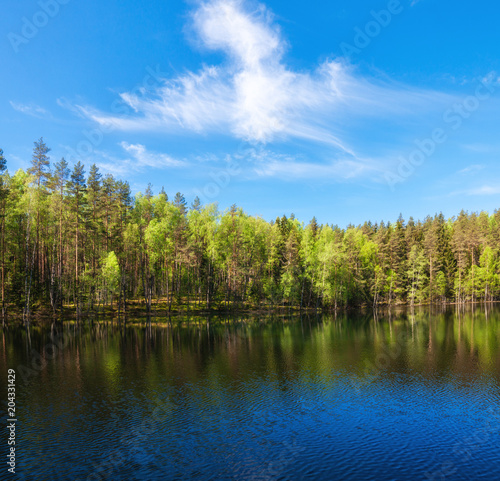 Fototapeta Naklejka Na Ścianę i Meble -  forest lake