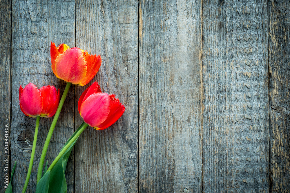 Colorful tulips on wooden table. Top view with copy space for text