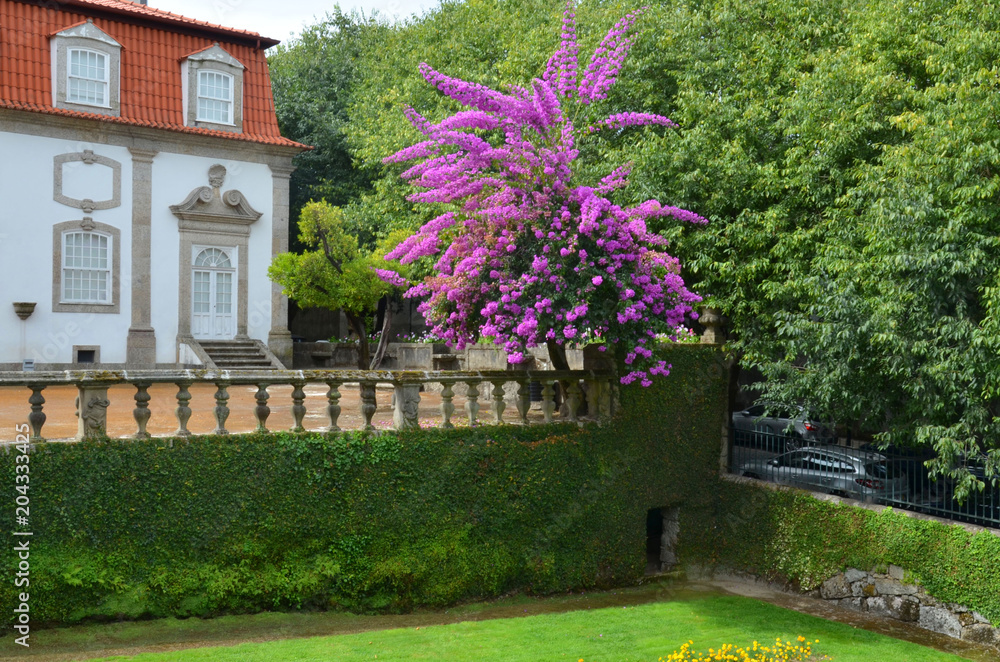 Fototapeta premium Beautiful 3-landing garden decorated with a Baroque fountain near Vila Flor. Vila Flor Palace, built by Tadeu Luis Antonio Lopes de Carvalho de Fonseca and Camoes in 18th century. Guimaraes, Portugal