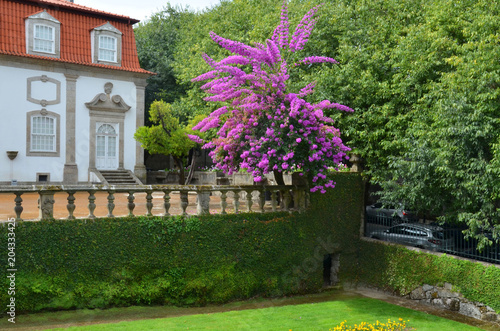 Beautiful 3-landing garden decorated with a Baroque fountain near Vila Flor. Vila Flor Palace, built by Tadeu Luis Antonio Lopes de Carvalho de Fonseca and Camoes in 18th century. Guimaraes, Portugal photo