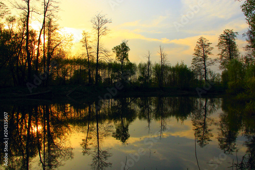 Wild landscape with sunset under river. Trees are reflected in water of river during decline