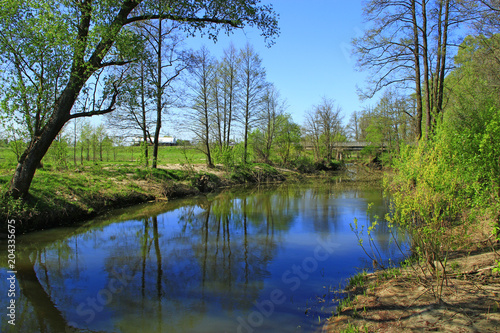 Landscape with river in spring. Trees are reflected in water of river