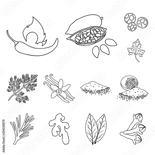 Herb and spices outline icons in set collection for design.Different kinds of seasonings vector symbol stock web illustration.