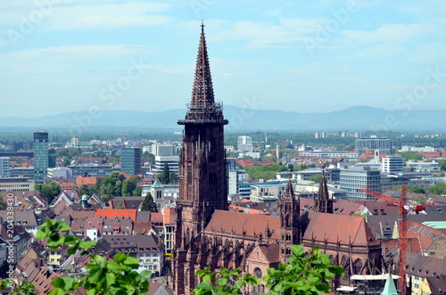 Blick aufs Freiburger Münster im Frühjahr