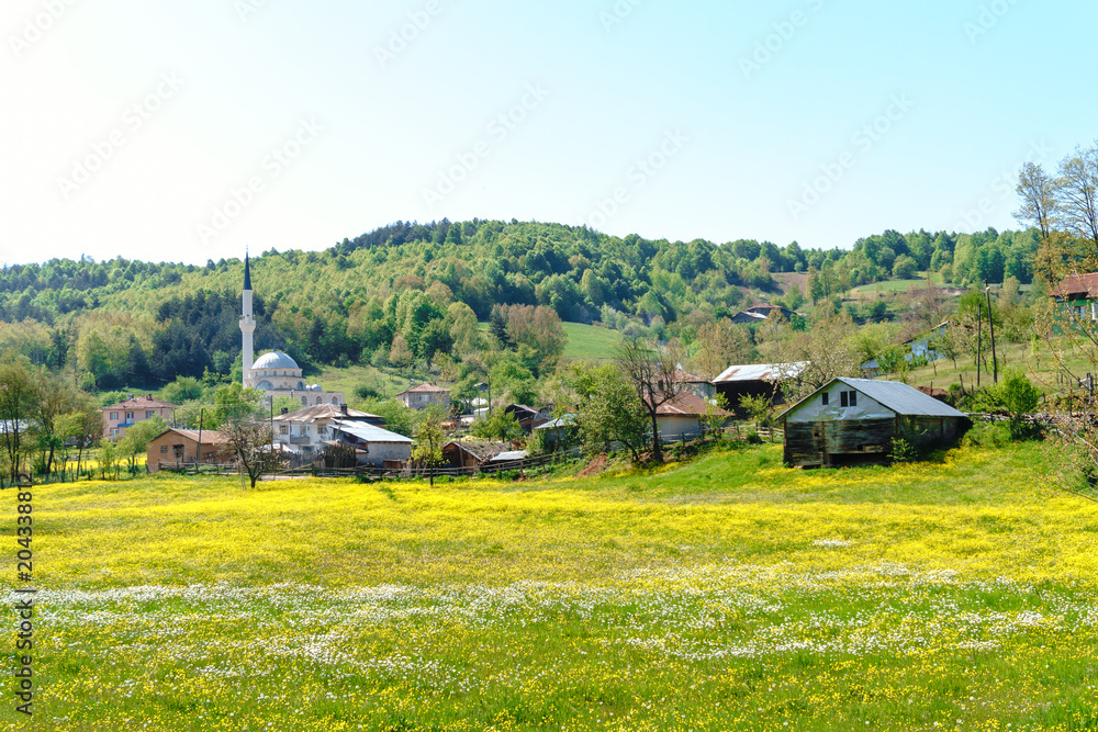 Landscape Meadow View of Village with Houses