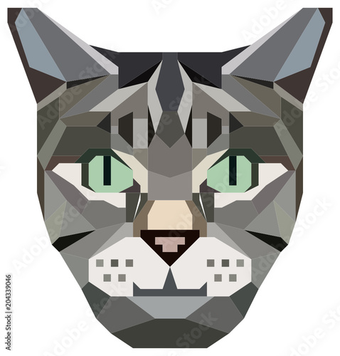 kubistisches Katzengesicht