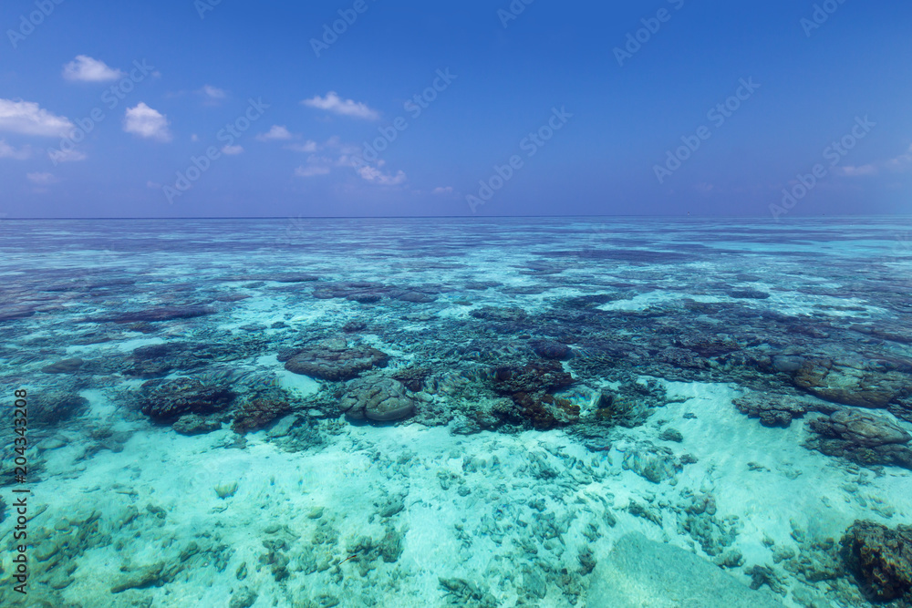 Naklejka Ocean Indyjski z rafami koralowymi