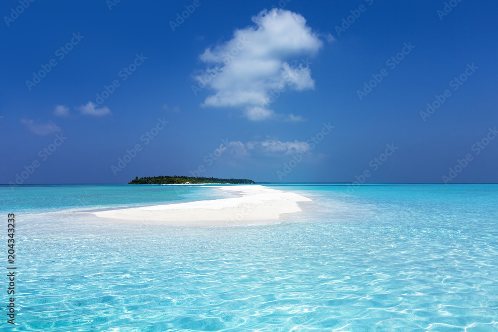 Obraz premium Maldivian sandbank in Indian ocean