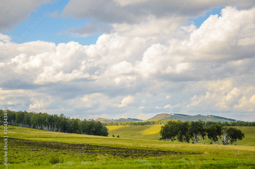 Bright summer landscape, green grass and blue sky, Russia