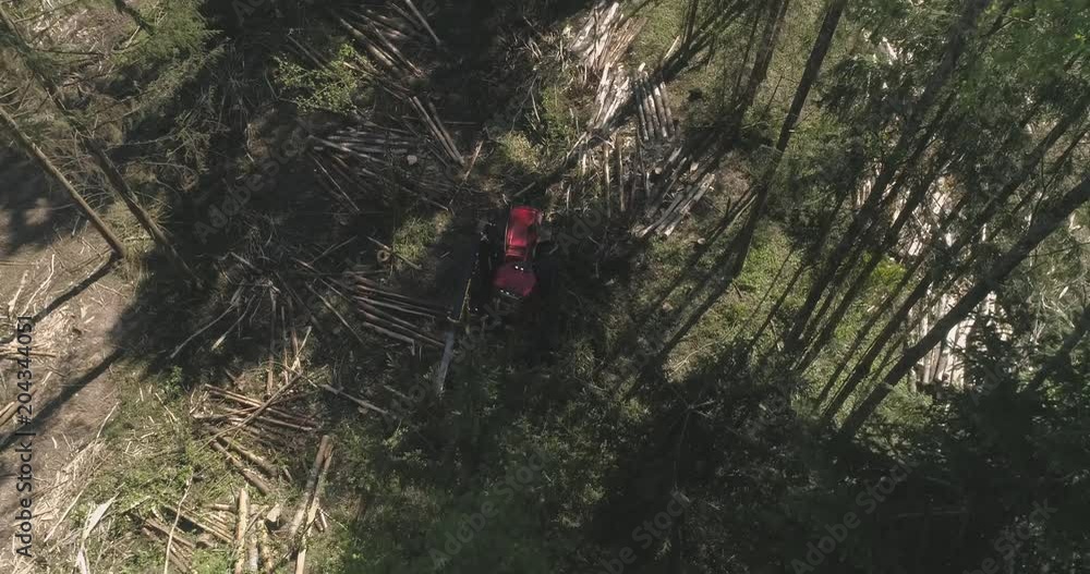 Forest cutting, timber harvester, view from height. Forest cutting with special equipment, sunlight.
Forest cutting, timber harvester, view from height. Forest cutting with special equipment, sunlight.