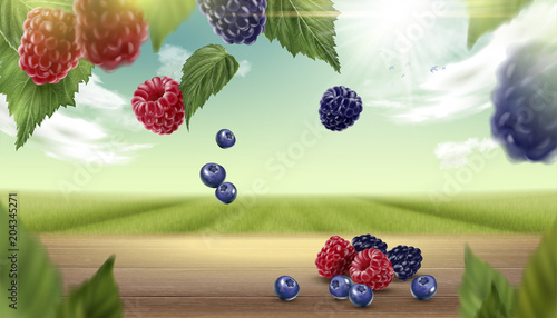 Blue berry and raspberry background