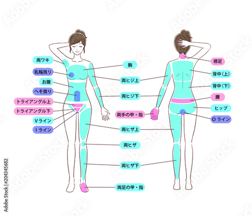 女性　ヌード　全身