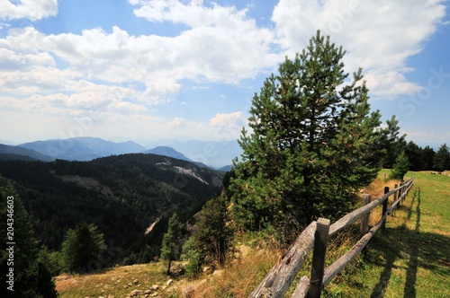 Südtirol Gebirge Berge Bäume