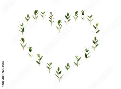 Green Leaves In The Shape Of A Heart