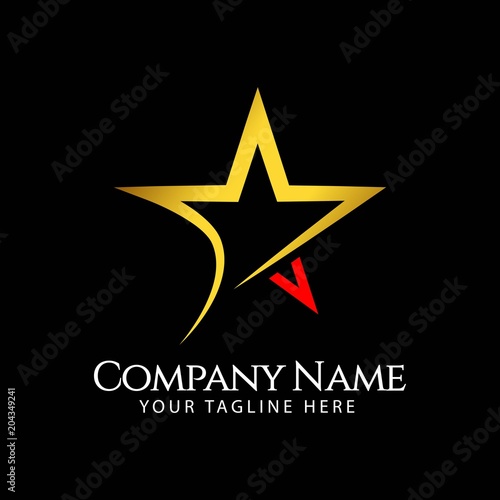Star Company Logo Vector Template Design Illustration