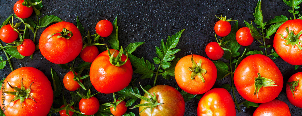 Φωτογραφία Fresh vegetables tomato and fragrant greens salad, parsley, basil on a dark background, concept of vegetarianism and healthy eating